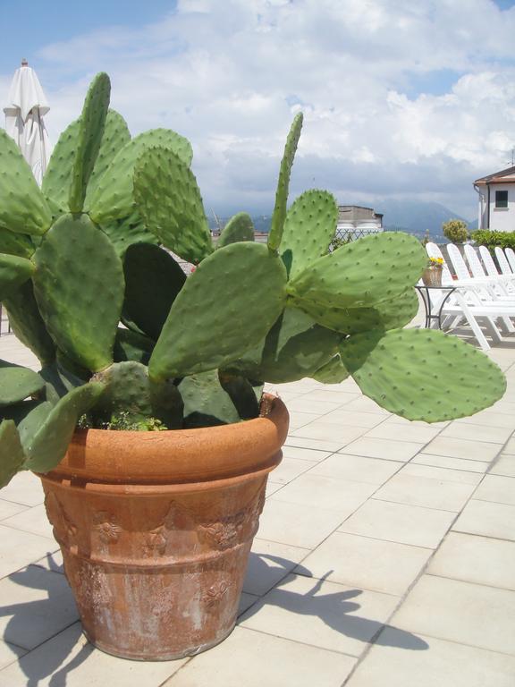 Hotel Garden Viareggio Exterior photo